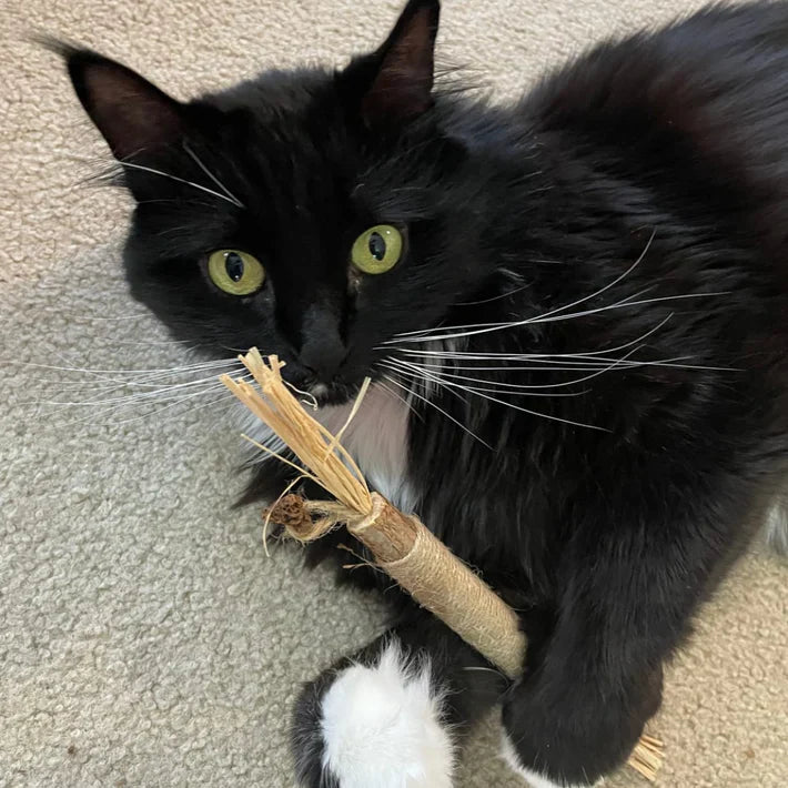 Nelli M.